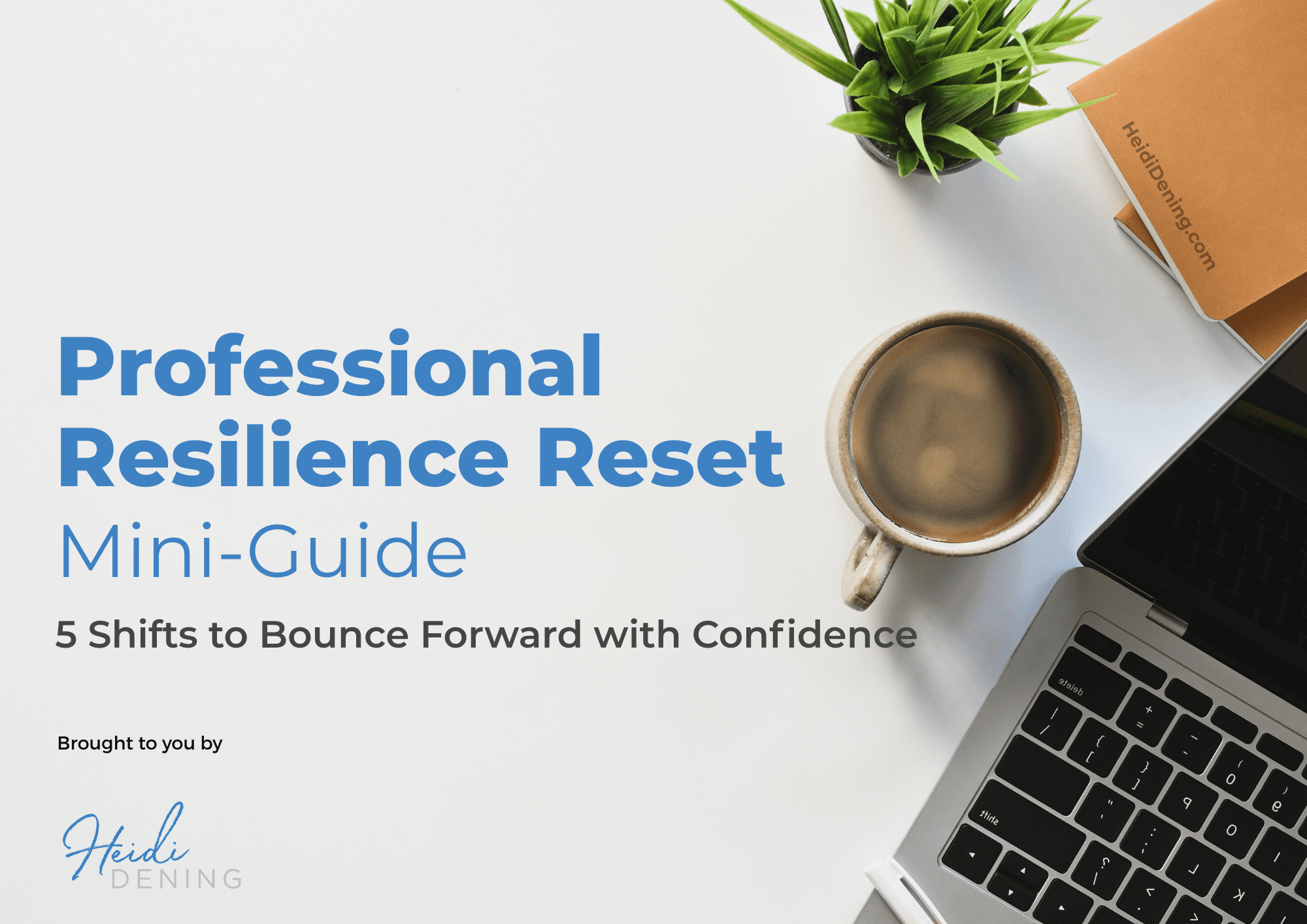 Professional Resilience Reset Mini-Guide Cover