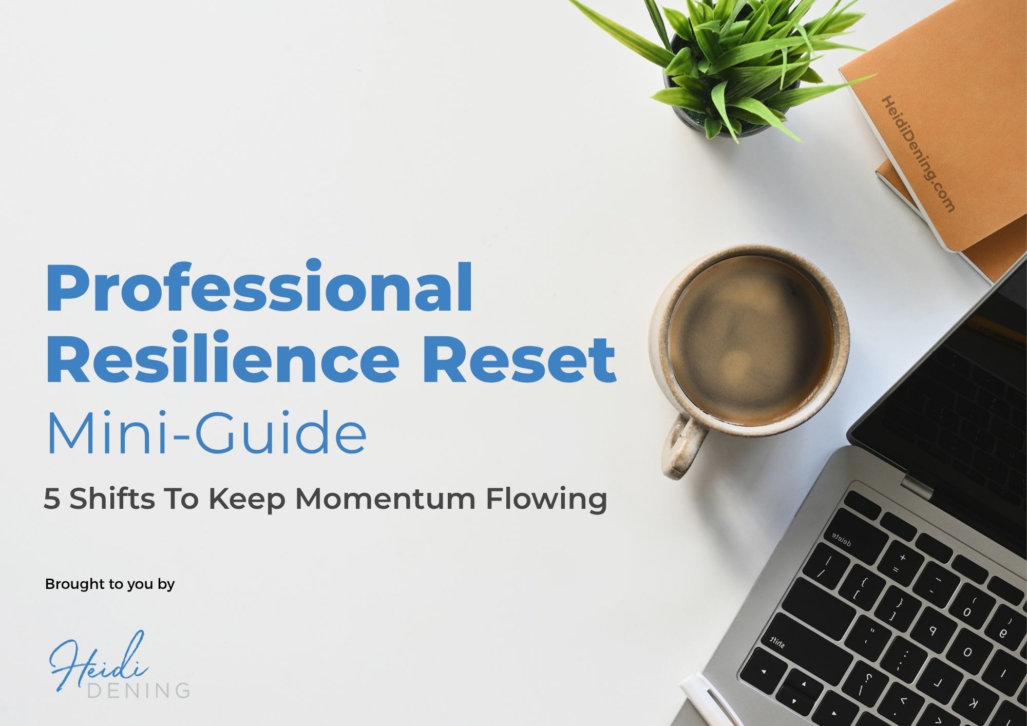 Professional Resilience mini-guide reset resource